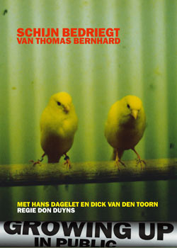 Poster Schijn Bedriegt 